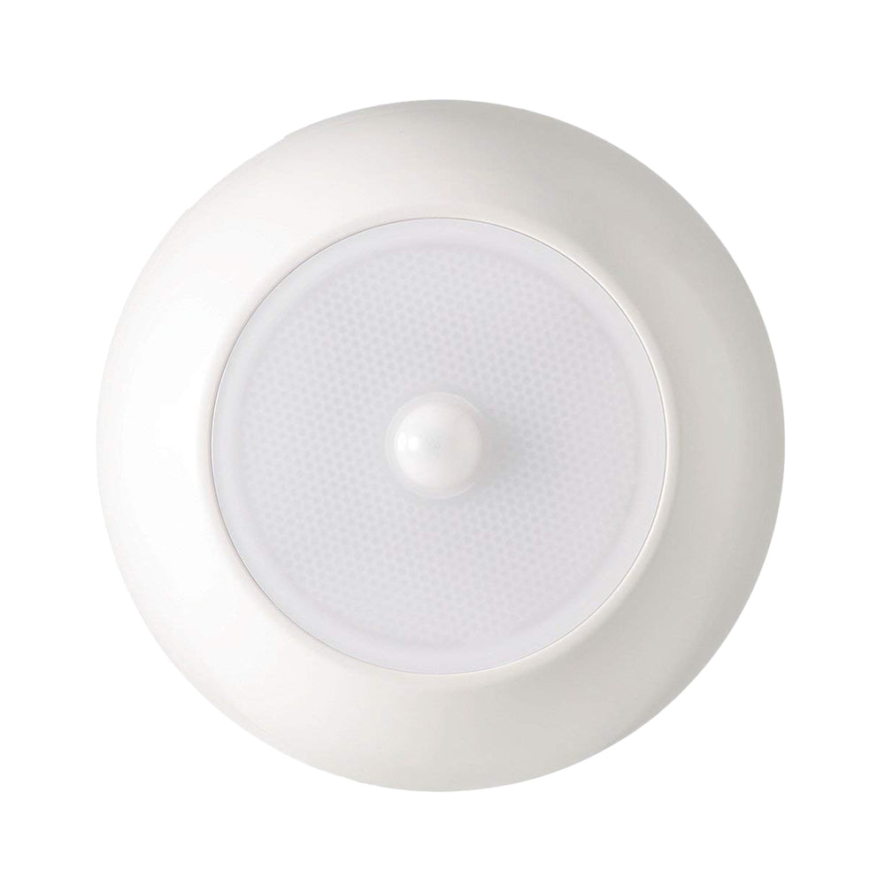 SHEDorize Motion Sensor Light