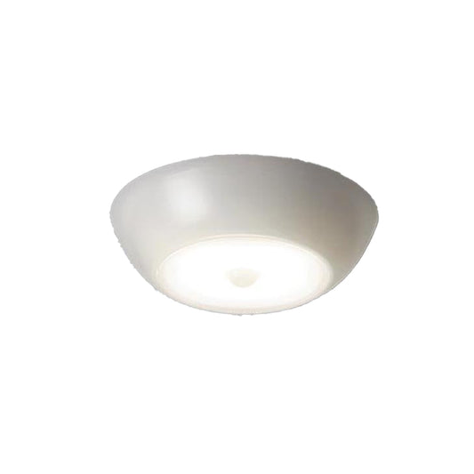 SHEDorize Motion Sensor Light